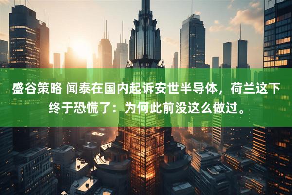 盛谷策略 闻泰在国内起诉安世半导体，荷兰这下终于恐慌了：为何此前没这么做过。